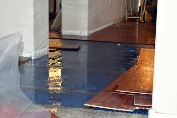 Professional Burst Pipe Cleanup technician working in Warren, OR